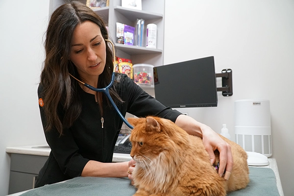Dr. Sophie with a cat