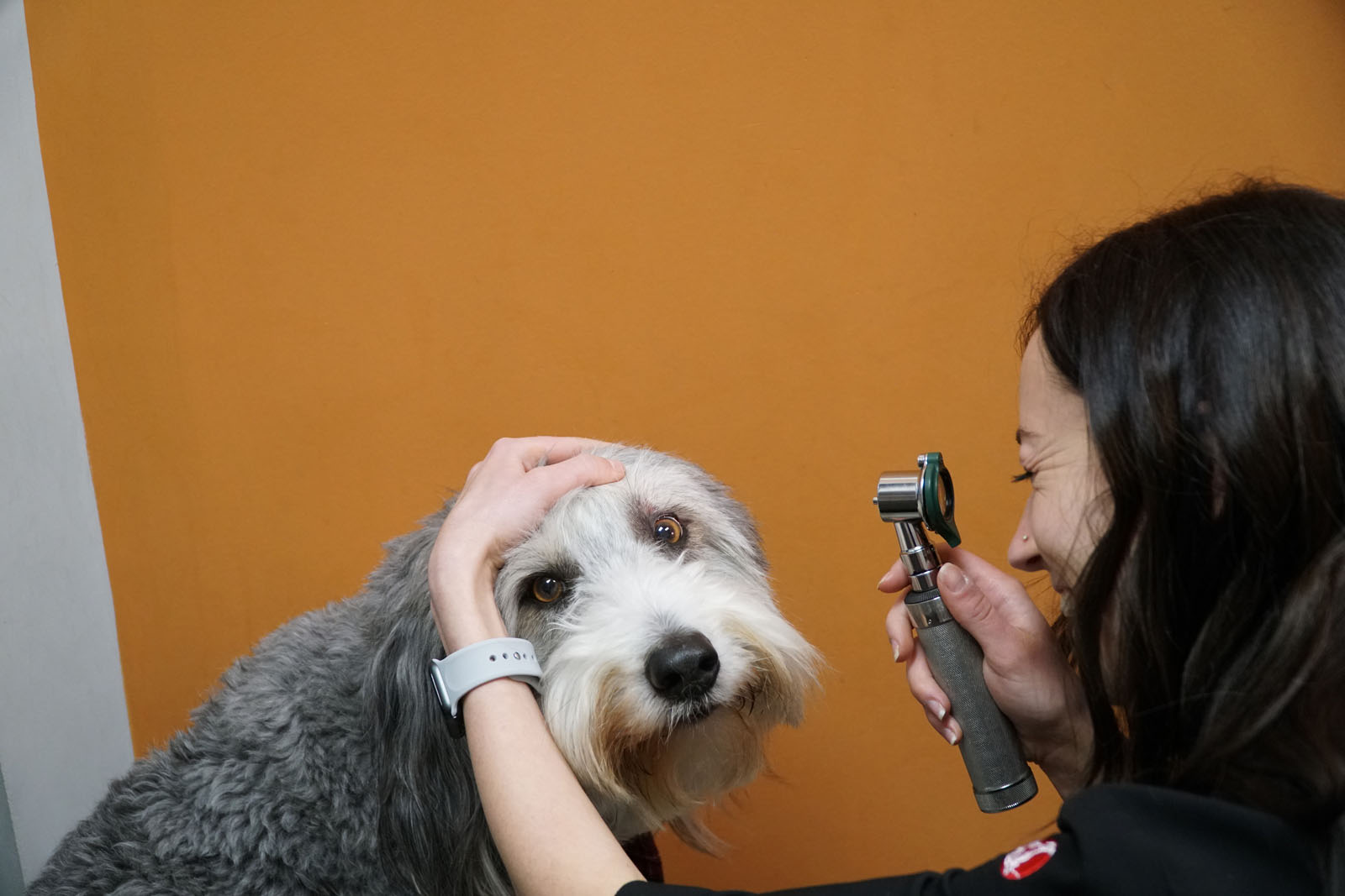 Dr. Sophie examining a patient